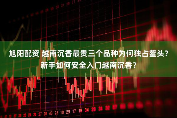 旭阳配资 越南沉香最贵三个品种为何独占鳌头？新手如何安全入门越南沉香？
