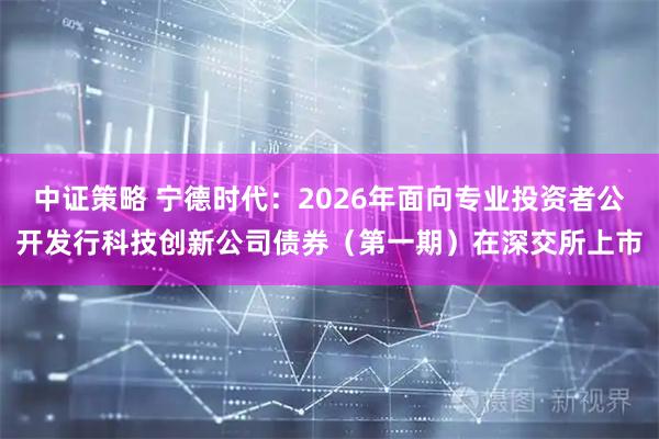 中证策略 宁德时代：2026年面向专业投资者公开发行科技创新公司债券（第一期）在深交所上市