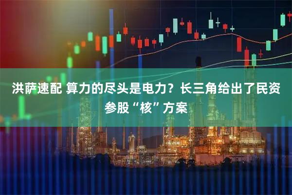 洪萨速配 算力的尽头是电力？长三角给出了民资参股“核”方案