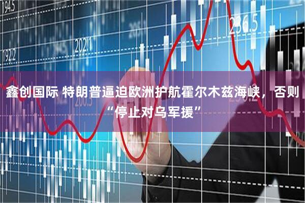 鑫创国际 特朗普逼迫欧洲护航霍尔木兹海峡，否则“停止对乌军援”