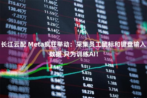 长江云配 Meta疯狂举动：采集员工鼠标和键盘输入数据 只为训练AI！