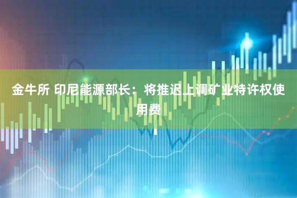金牛所 印尼能源部长：将推迟上调矿业特许权使用费