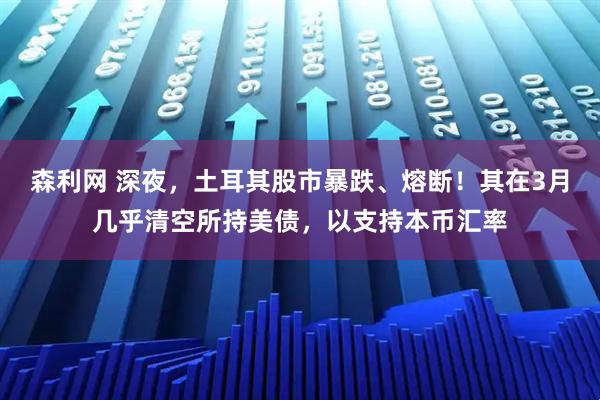 森利网 深夜，土耳其股市暴跌、熔断！其在3月几乎清空所持美债，以支持本币汇率