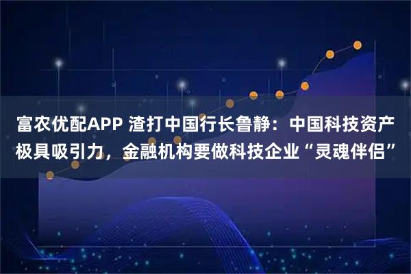 富农优配APP 渣打中国行长鲁静:中国科技资产极具吸引力,金融机构要做科技企业“灵魂伴侣”
