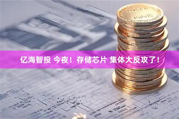 亿海智投 今夜!存储芯片 集体大反攻了!