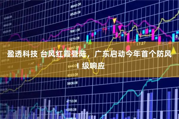 盈透科技 台风红霞登陆，广东启动今年首个防风Ⅰ级响应