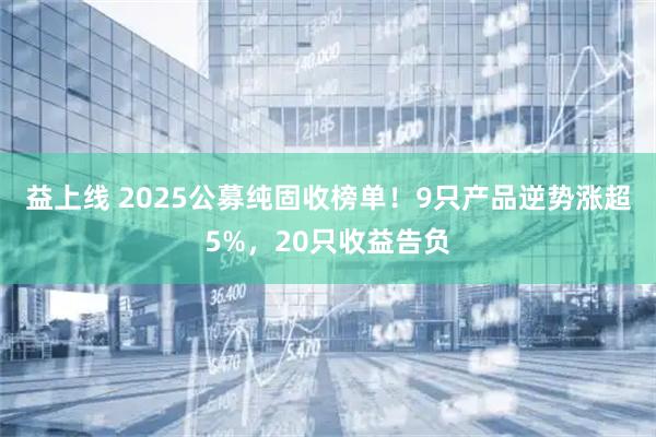 益上线 2025公募纯固收榜单！9只产品逆势涨超5%，20只收益告负
