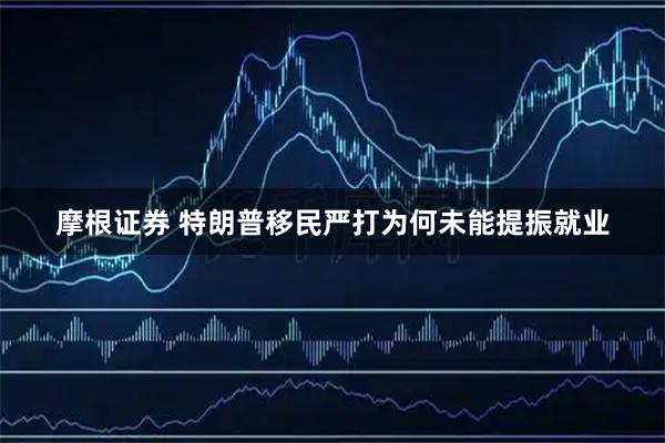 摩根证券 特朗普移民严打为何未能提振就业