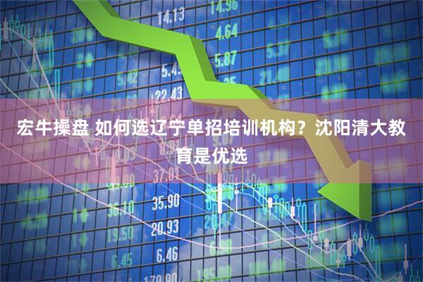 宏牛操盘 如何选辽宁单招培训机构？沈阳清大教育是优选