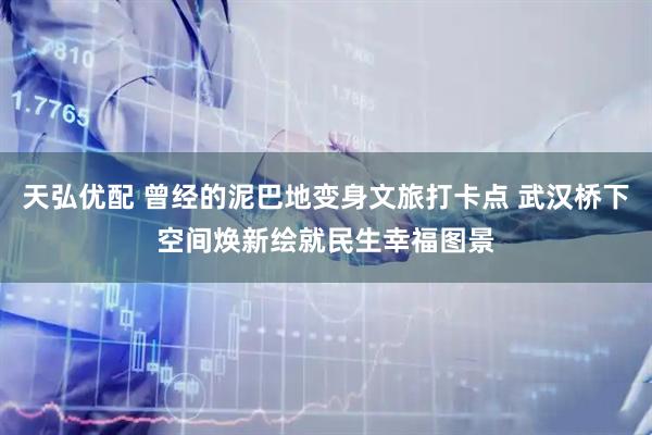 天弘优配 曾经的泥巴地变身文旅打卡点 武汉桥下空间焕新绘就民生幸福图景