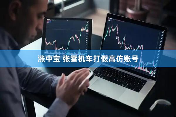 涨中宝 张雪机车打假高仿账号