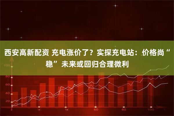 西安高新配资 充电涨价了？实探充电站：价格尚“稳” 未来或回归合理微利