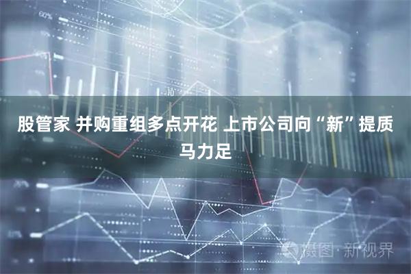 股管家 并购重组多点开花 上市公司向“新”提质马力足