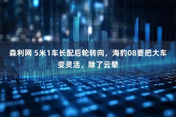 森利网 5米1车长配后轮转向，海豹08要把大车变灵活，除了云辇