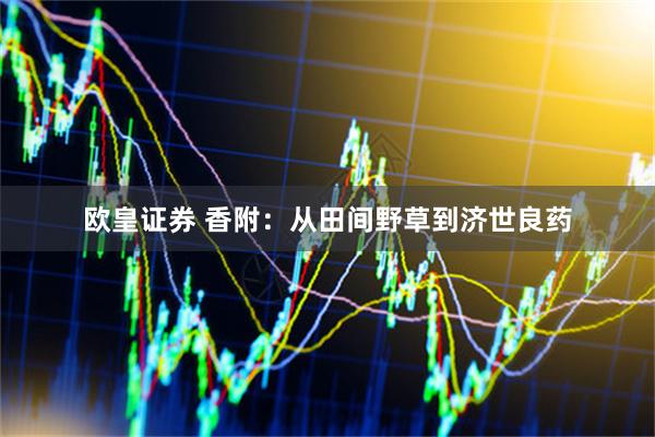 欧皇证券 香附：从田间野草到济世良药