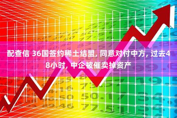 配查信 36国签约稀土结盟, 同意对付中方, 过去48小时, 中企被催卖掉资产