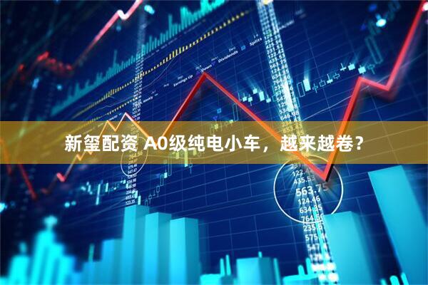 新玺配资 A0级纯电小车，越来越卷？