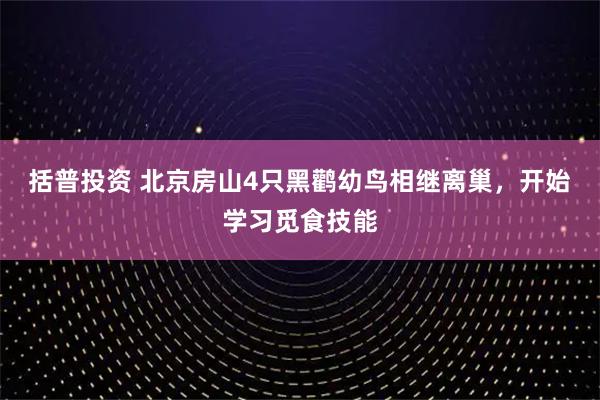括普投资 北京房山4只黑鹳幼鸟相继离巢，开始学习觅食技能
