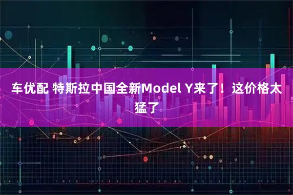 车优配 特斯拉中国全新Model Y来了!这价格太猛了