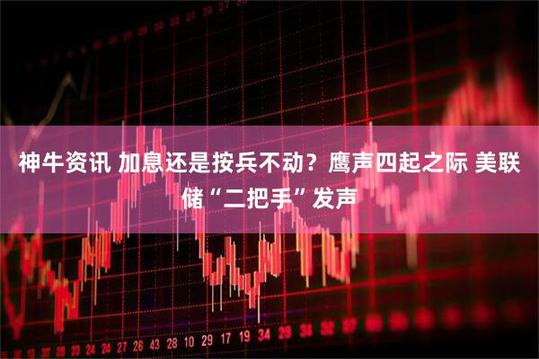 神牛资讯 加息还是按兵不动？鹰声四起之际 美联储“二把手”发声