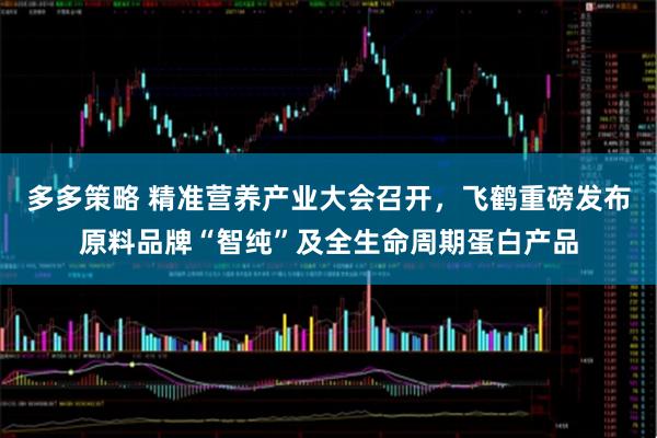 多多策略 精准营养产业大会召开，飞鹤重磅发布原料品牌“智纯”及全生命周期蛋白产品