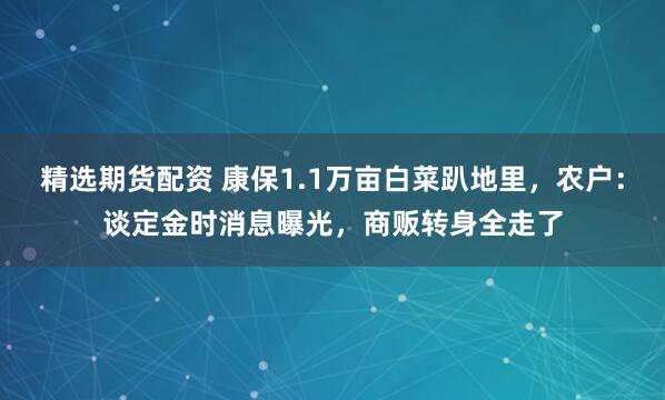 精选期货配资 康保1.1万亩白菜趴地里，农户：谈定金时消息曝光，商贩转身全走了